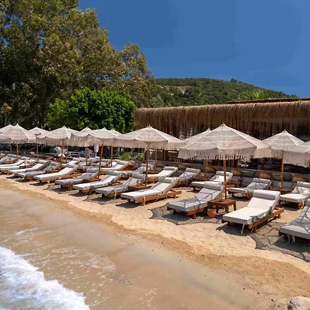Szálloda Roota Bodrum